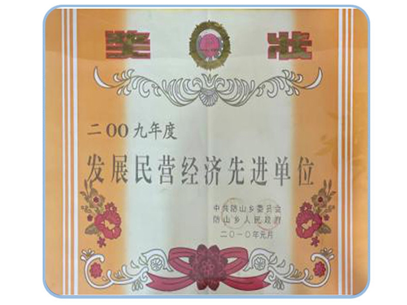 發(fā)展民營(yíng)經(jīng)濟(jì)先進(jìn)單位